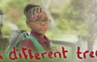 WATCH: “A Different Tree” | #ShortFilmSundays