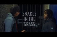 SNAKES IN THE GRASS