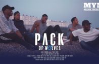 PRIDE AND PACK – PACK OF WOLVES